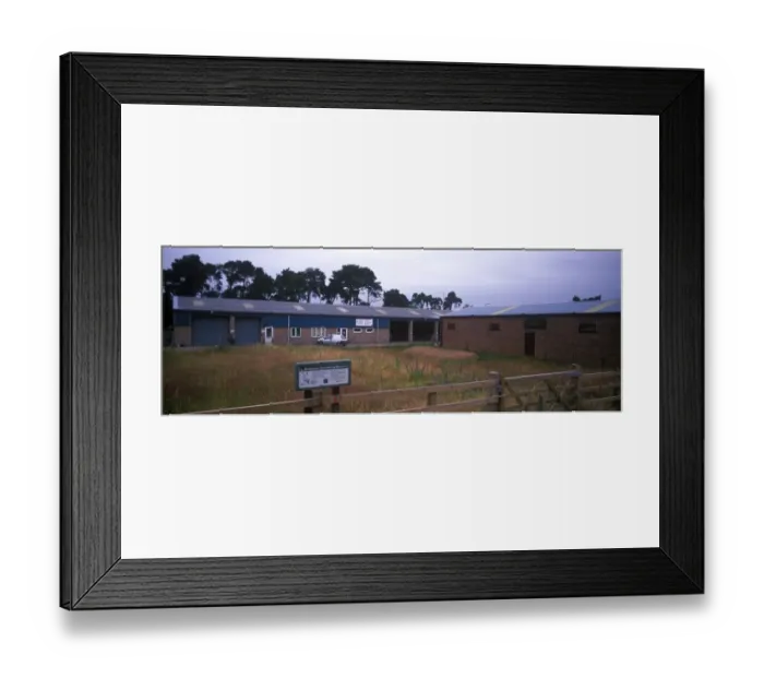 Framed Print : Conservation - Reserves - Braandon Artemisia Reserve - Suffolk Wildlife Trust