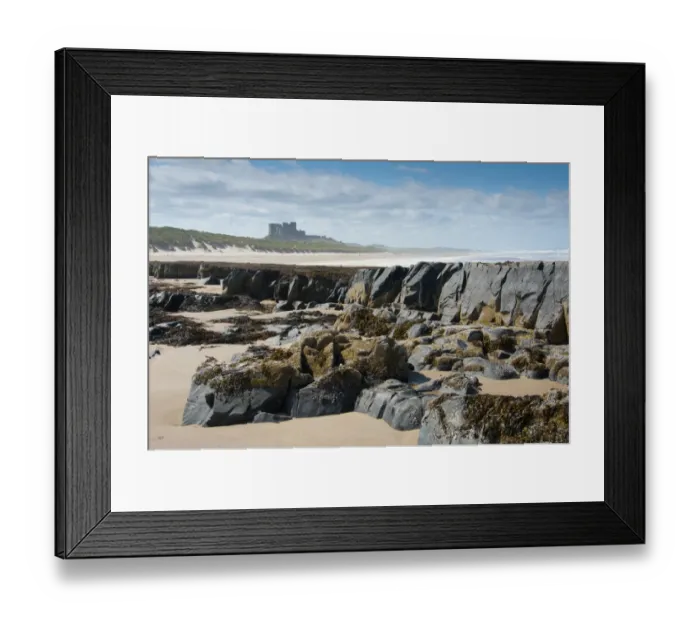 Framed Print : Rocks and seaweed on beach, with Bamburgh Castle in distance, Bamburgh, Northumberland, England, july Framed Print : Rocks and seaweed on beach, with Bamburgh Castle in distance, Bamburgh, Northumberland, England, july