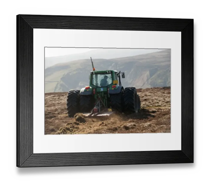 Framed Print : Gamekeeper on shooting estate cutting fire break patch in heather moorland Framed Print : Gamekeeper on shooting estate cutting fire break patch in heather moorland