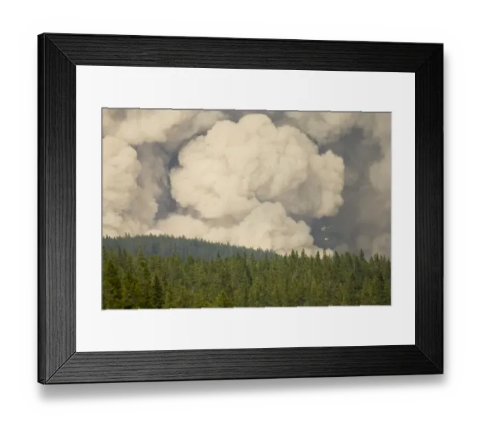 Framed Print : Forest fire, controlled burn with fire setting helicopter, Saskatchewan Valley, Banff N. P Framed Print : Forest fire, controlled burn with fire setting helicopter, Saskatchewan Valley, Banff N. P