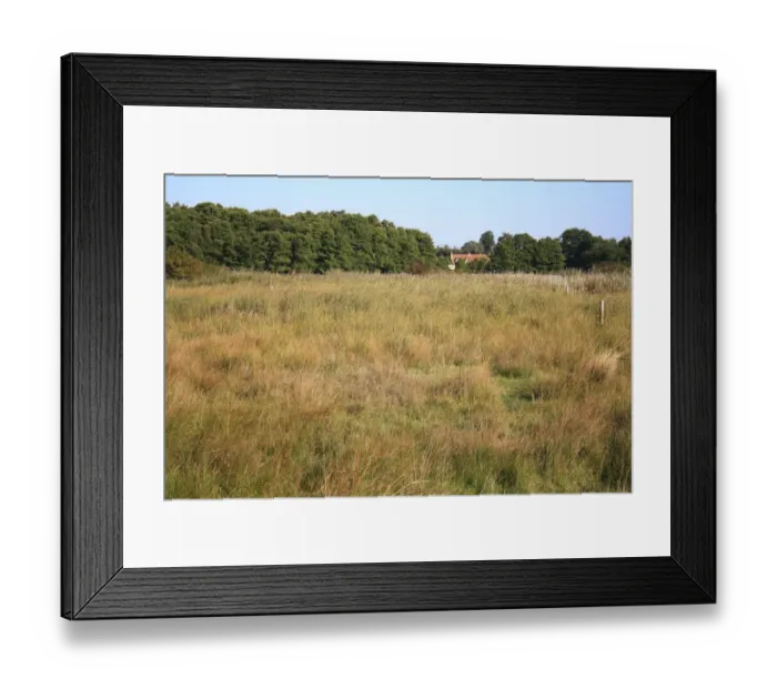 Framed Print : View of valley fen reserve habitat, Market Weston Fen, Market Weston, Little Ouse Valley, Suffolk, England, september