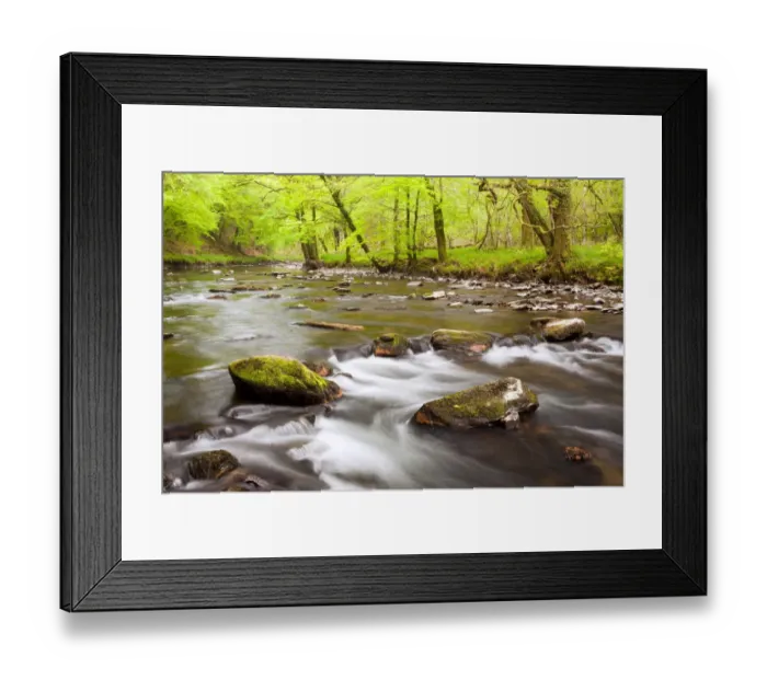 Framed Print : River flowing through ancient beech wood habitat at dawn, River Barl, Marsh Wood, near Dulverton, Exmoor N. P Framed Print : River flowing through ancient beech wood habitat at dawn, River Barl, Marsh Wood, near Dulverton, Exmoor N. P