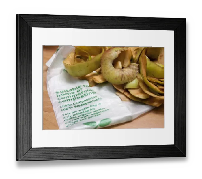 Framed Print : Biodegradable bag with fruit peelings for compost heap, England