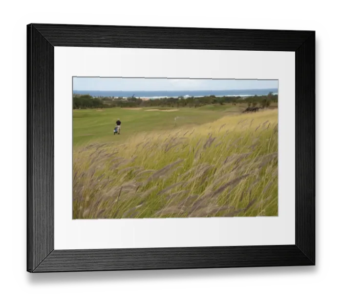 Framed Print : Grass growing on rough of golf course, golfer pulling golf cart in background, Le Telfair Hotel and Golf Course Framed Print : Grass growing on rough of golf course, golfer pulling golf cart in background, Le Telfair Hotel and Golf Course