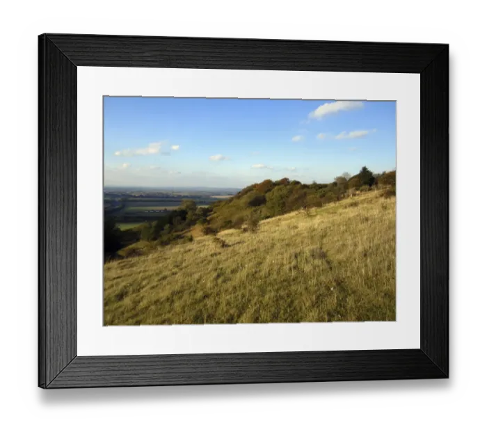 Framed Print : View of chalk grassland on hillside, Aston Rowant N. N. R. Chilterns, Oxfordshire, England, october Framed Print : View of chalk grassland on hillside, Aston Rowant N. N. R. Chilterns, Oxfordshire, England, october