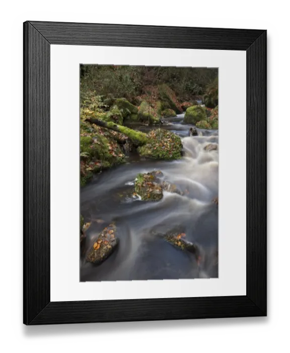 Framed Print : Cascades on upland stream in woodland habitat, Wyming Brook, Sheffield, South Yorkshire, England, november Framed Print : Cascades on upland stream in woodland habitat, Wyming Brook, Sheffield, South Yorkshire, England, november