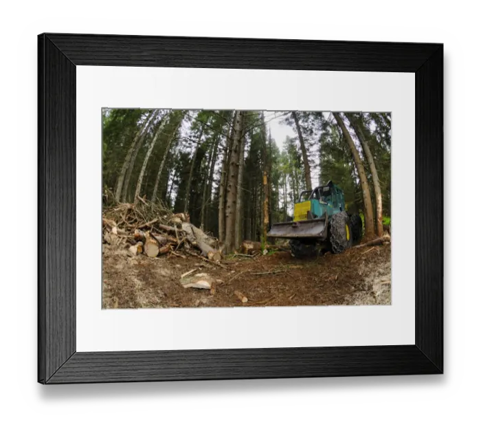 Framed Print : Timberjack 360c skidder, during logging in coniferous forest, Italian Alps, Italy, may Framed Print : Timberjack 360c skidder, during logging in coniferous forest, Italian Alps, Italy, may
