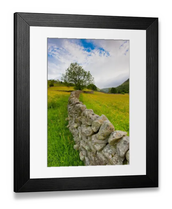 Framed Print : Drystone stone at edge of wildflower meadows, Muker, Swaledale, Yorkshire Dales N. P. North Yorkshire, England, june Framed Print : Drystone stone at edge of wildflower meadows, Muker, Swaledale, Yorkshire Dales N. P. North Yorkshire, England, june