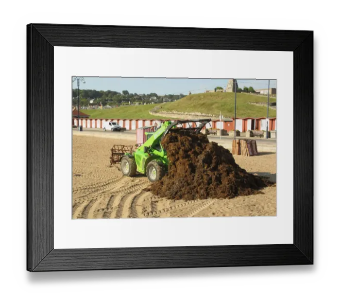 Framed Print : Merlo loader clearing seaweed from sandy beach of seaside town, Swanage, Isle of Purbeck, Dorset, England, august Framed Print : Merlo loader clearing seaweed from sandy beach of seaside town, Swanage, Isle of Purbeck, Dorset, England, august