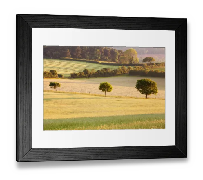 Framed Print : View of farmland with patchwork of hay fields and hedgerows in late afternoon sunshine, near Luccombe, Exmoor N. P Framed Print : View of farmland with patchwork of hay fields and hedgerows in late afternoon sunshine, near Luccombe, Exmoor N. P