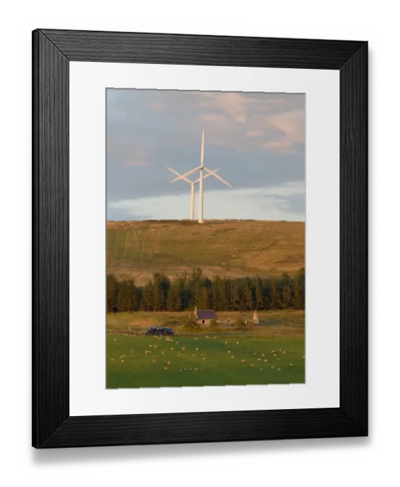 Framed Print : Wind turbines on hill, with cattle on hillside, ruined building and sheep on pasture in foreground, Lammermuir Hills Framed Print : Wind turbines on hill, with cattle on hillside, ruined building and sheep on pasture in foreground, Lammermuir Hills