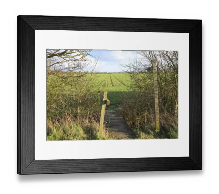 Framed Print : Public Footpath sign and footbridge over ditch, crossing arable field with seedling crop, Bacton, Suffolk, England Framed Print : Public Footpath sign and footbridge over ditch, crossing arable field with seedling crop, Bacton, Suffolk, England