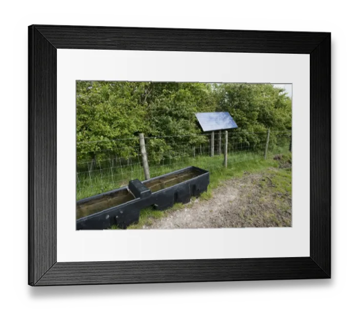 Framed Print : Cattle farming, livestock drinking trough, filled with solar powered pump, beside wire fence in pasture, England, may Framed Print : Cattle farming, livestock drinking trough, filled with solar powered pump, beside wire fence in pasture, England, may