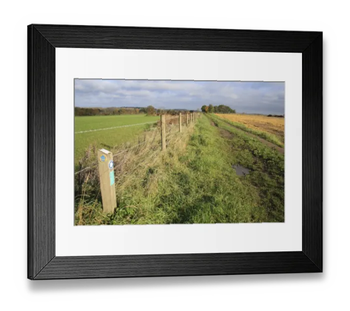 Framed Print : Angles Way National Trail, sign on post beside barbed wire fence, beside bridleway on farmland, Hopton, Suffolk Framed Print : Angles Way National Trail, sign on post beside barbed wire fence, beside bridleway on farmland, Hopton, Suffolk