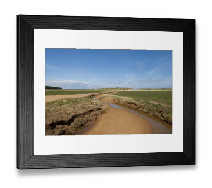 Framed Print : View of creek in saltmarsh habitat, Holkham Beach, Holkham, Norfolk, England, july