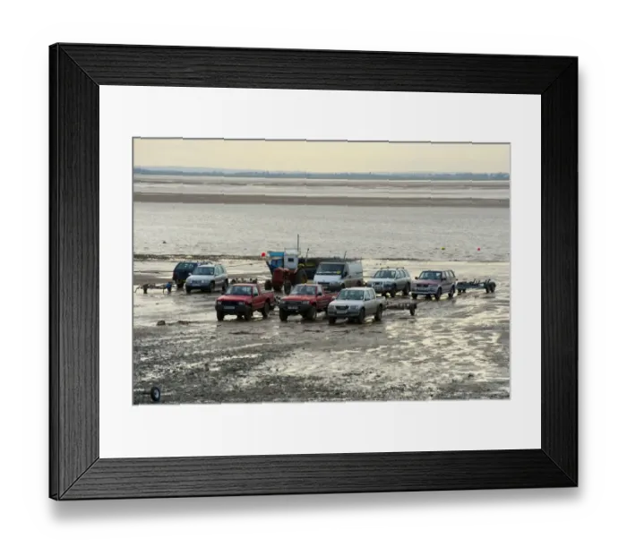 Framed Print : Licensed cockle pickers vehicles on shore during picking from cockle beds, Foulnaze Bank, between Lytham and Southport