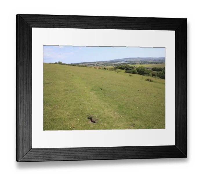 Framed Print : View of chalk downland reserve habitat, Arreton Down, Arreton, Isle of Wight, England, june Framed Print : View of chalk downland reserve habitat, Arreton Down, Arreton, Isle of Wight, England, june