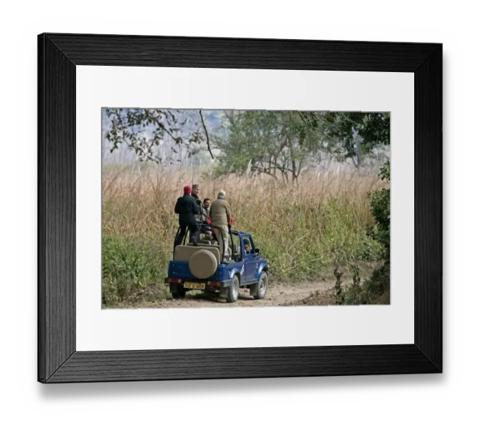 Framed Print : Tourists in tiger-watching jeep, Corbett N. P. Uttarakhand, India, january Framed Print : Tourists in tiger-watching jeep, Corbett N. P. Uttarakhand, India, january