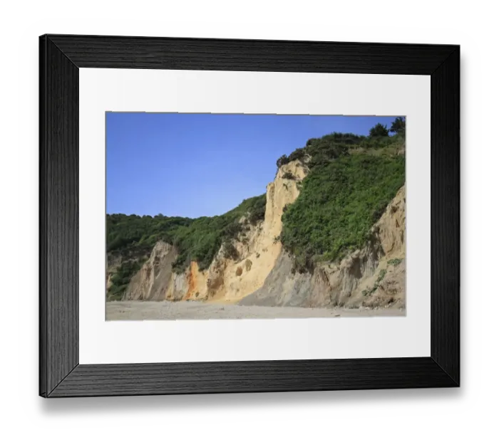 Framed Print : View of vegetation growing on eroded and slumped sand and clay sea cliffs, Whitecliff Bay, Isle of Wight, England, june Framed Print : View of vegetation growing on eroded and slumped sand and clay sea cliffs, Whitecliff Bay, Isle of Wight, England, june