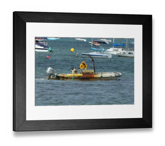 Framed Print : Fisherman fishing for clams, clamming boat with pump scoop dredge, Poole Harbour, Dorset, England, july Framed Print : Fisherman fishing for clams, clamming boat with pump scoop dredge, Poole Harbour, Dorset, England, july