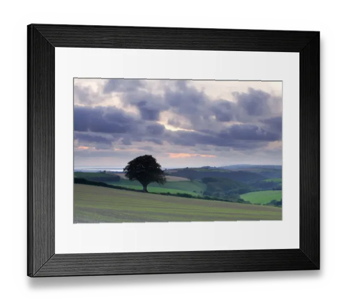 Framed Print : View of farmland near coast at sunset, from Yard Cross near Barnstaple towards Baggy Point, North Devon, England Framed Print : View of farmland near coast at sunset, from Yard Cross near Barnstaple towards Baggy Point, North Devon, England