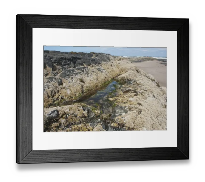 Framed Print : Rockpool on beach, Bamburgh, Northumberland, England, july Framed Print : Rockpool on beach, Bamburgh, Northumberland, England, july