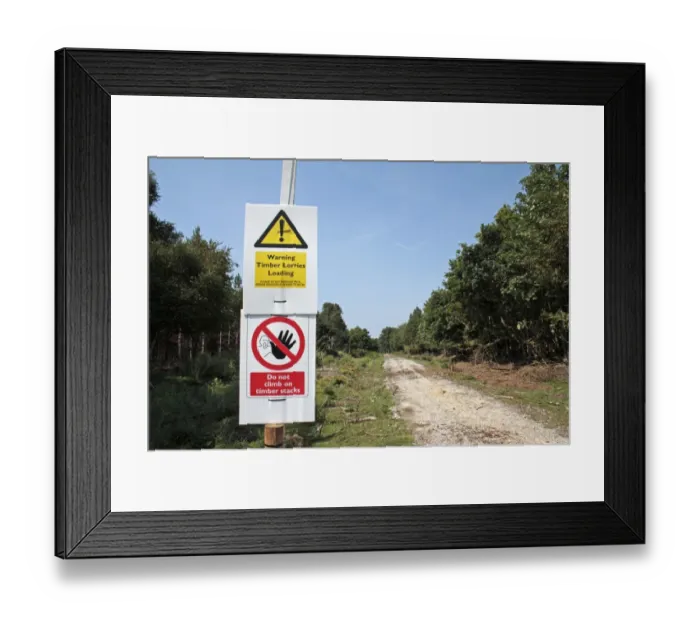 Framed Print : Warning, Timber Lorries Loading and Do not climb on timber stacks signs beside track in forest, Dunwich Forest Framed Print : Warning, Timber Lorries Loading and Do not climb on timber stacks signs beside track in forest, Dunwich Forest