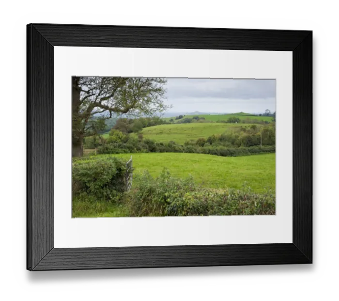 Framed Print : View of hedgerows, gateway and pasture, Shepton Mallet, Somerset, England, october Framed Print : View of hedgerows, gateway and pasture, Shepton Mallet, Somerset, England, october