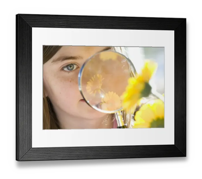 Framed Print : Young girl looking at flower through magnifying glass, England, october