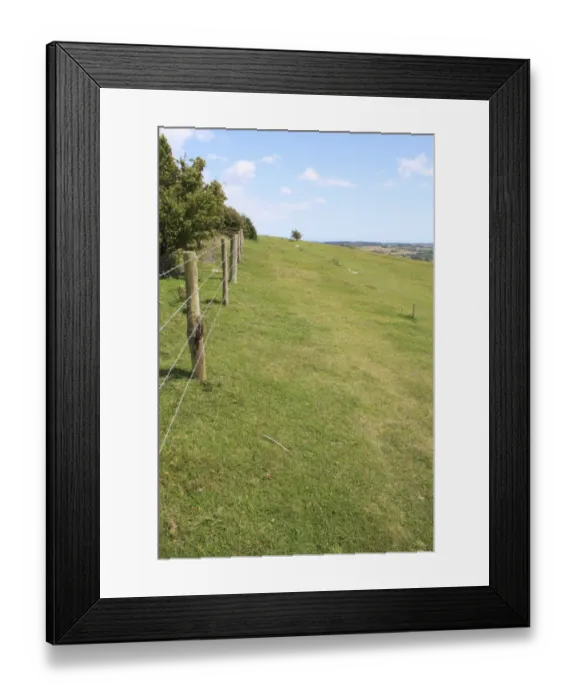 Framed Print : Barbed wire fence at edge of chalk downland reserve habitat, Arreton Down, Arreton, Isle of Wight, England, june