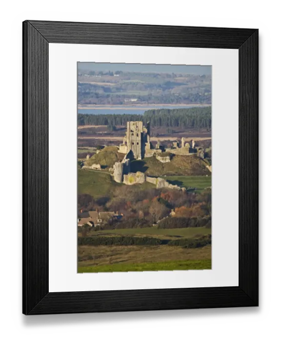 Framed Print : View of ruined castle in winter sunshine, Corfe Castle, Corfe, Dorset, England, january Framed Print : View of ruined castle in winter sunshine, Corfe Castle, Corfe, Dorset, England, january