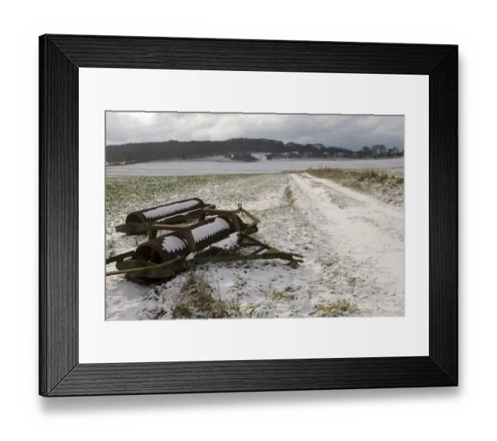 Framed Print : Cambridge Rollers in snow covered arable field, near Aldbury, Chilterns, Hertfordshire, England, november Framed Print : Cambridge Rollers in snow covered arable field, near Aldbury, Chilterns, Hertfordshire, England, november