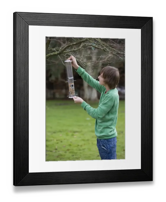 Framed Print : Teenage boy hanging birdfeeder from tree branch in garden, Portesham, Dorset, England, january Framed Print : Teenage boy hanging birdfeeder from tree branch in garden, Portesham, Dorset, England, january