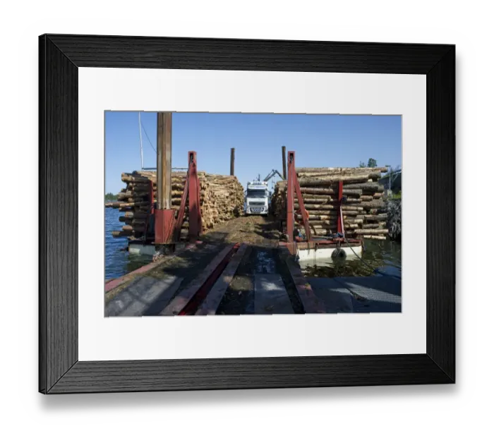 Framed Print : Lorry with grapple loading logs onto timber barge, Archipelago Sea, Baltic Sea, Sweden, june Framed Print : Lorry with grapple loading logs onto timber barge, Archipelago Sea, Baltic Sea, Sweden, june