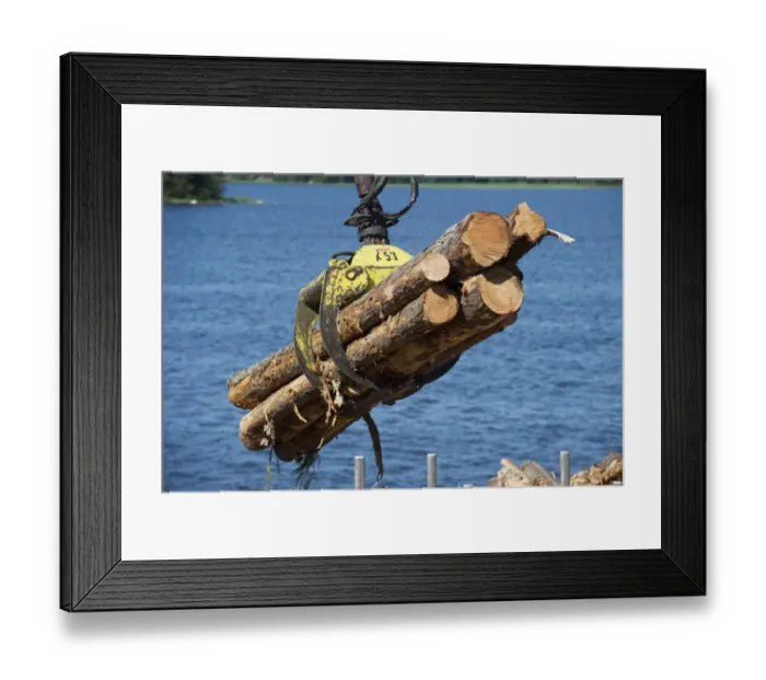 Framed Print : Grapple loading logs onto timber barge, Archipelago Sea, Baltic Sea, Sweden, june Framed Print : Grapple loading logs onto timber barge, Archipelago Sea, Baltic Sea, Sweden, june