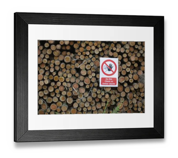 Framed Print : Do Not Climb on timber stacks warning sign on log stack, Forest of Dean, Gloucestershire, England, september