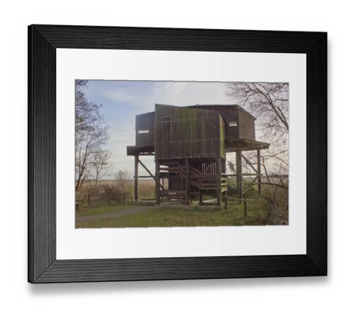 Framed Print : Rear view of Bittern Hide, Minsmere RSPB Reserve, Suffolk, England, november Framed Print : Rear view of Bittern Hide, Minsmere RSPB Reserve, Suffolk, England, november