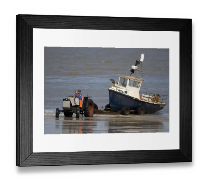 Framed Print : Tractor and trailer landing fishing boat on beach, Cromer, Norfolk, England, march Framed Print : Tractor and trailer landing fishing boat on beach, Cromer, Norfolk, England, march