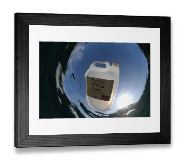 Framed Print : Fish Room Cleaner plastic container floating in sea, Kimmeridge Bay, Isle of Purbeck, Dorest, England, september Framed Print : Fish Room Cleaner plastic container floating in sea, Kimmeridge Bay, Isle of Purbeck, Dorest, England, september