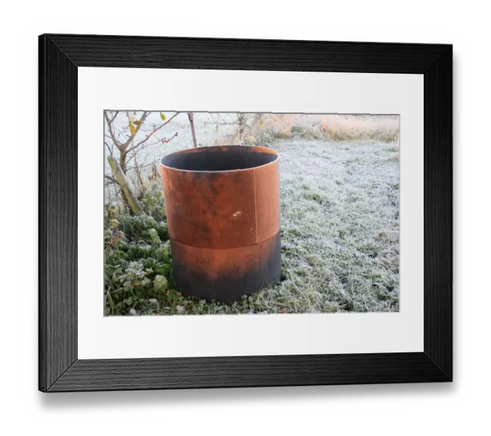 Framed Print : Waterbutt in frost covered garden vegetable plot at dawn, Suffolk, England, november Framed Print : Waterbutt in frost covered garden vegetable plot at dawn, Suffolk, England, november