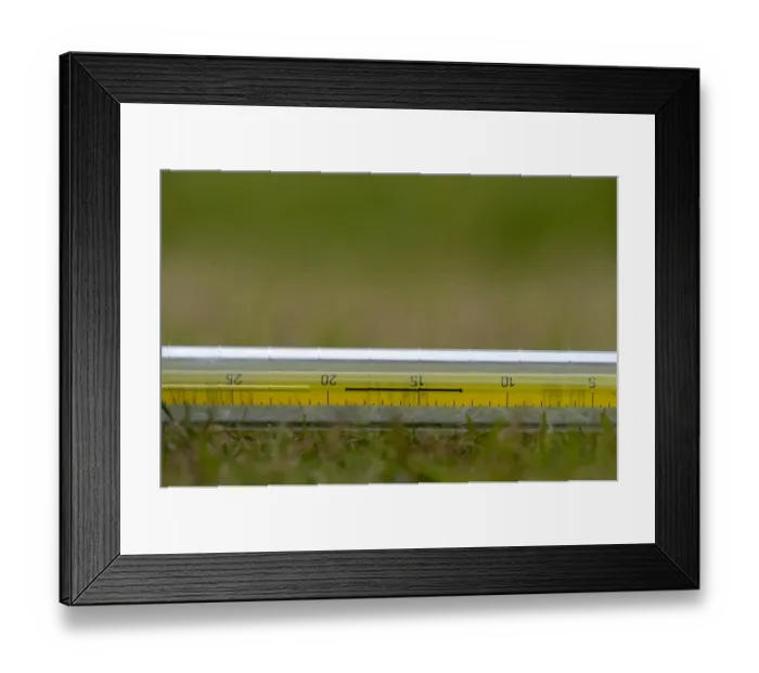 Framed Print : Thermometer on garden surface to measure ground temperature, Cumbria, England, august Framed Print : Thermometer on garden surface to measure ground temperature, Cumbria, England, august