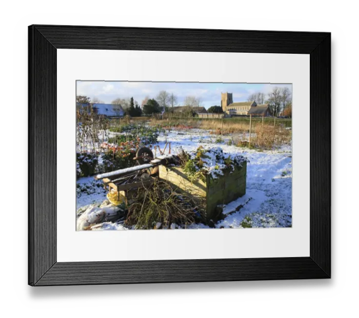 Framed Print : Compost heap in snow covered village allotments, with church in background, St Framed Print : Compost heap in snow covered village allotments, with church in background, St