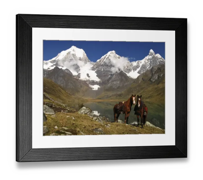 Framed Print : Horse, two adults, wearing saddles and hobbled, standing beside lake in mountain landscape, Cordillera Huayhuash Framed Print : Horse, two adults, wearing saddles and hobbled, standing beside lake in mountain landscape, Cordillera Huayhuash