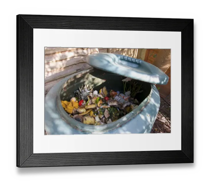 Framed Print : Plastic garden compost bin with rotting fruit and vegetable scraps, England, april Framed Print : Plastic garden compost bin with rotting fruit and vegetable scraps, England, april