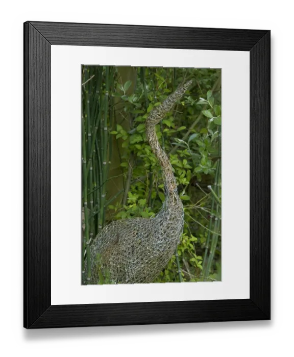 Framed Print : Ornamental wire mesh heron in garden, Norfolk, England, april
