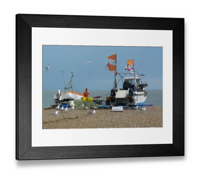 Framed Print : Fishing boat on Aldeburgh beach Suffolk. with Herring gulls