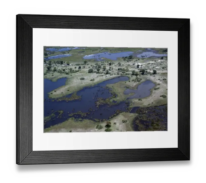 Framed Print : Aerial view of wetland habitat with channel, Kwando, Linyanti, Botswana Framed Print : Aerial view of wetland habitat with channel, Kwando, Linyanti, Botswana