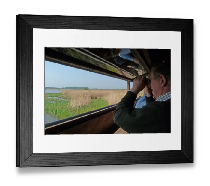 Framed Print : Looking out from Island mere hide at RSPB Minsmere Suffolk, a great place to watch birds and wildlife with binoculars