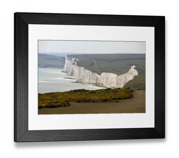 Framed Print : Beachy Head looking west over Birling Gap over gorse. This is a chalk headland on the south coast of England Framed Print : Beachy Head looking west over Birling Gap over gorse. This is a chalk headland on the south coast of England