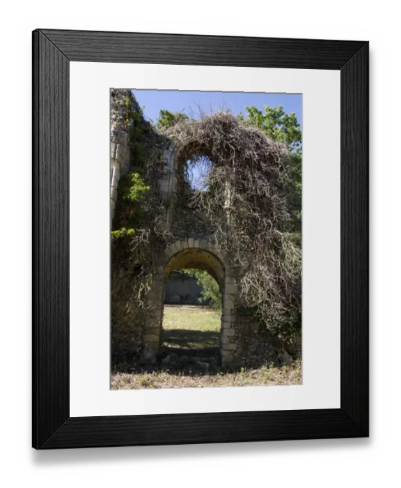 Framed Print : The Abbey of the Blessed Virgin Mary, Sibton. 1150-1536AD # Suffolk#s only Cistercian Abbey Framed Print : The Abbey of the Blessed Virgin Mary, Sibton. 1150-1536AD # Suffolk#s only Cistercian Abbey